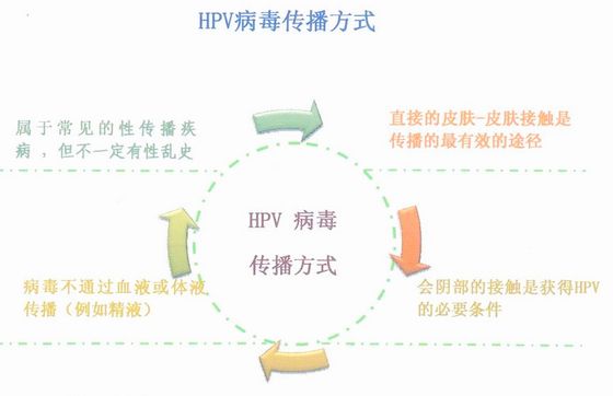 HPV病毒传播途径
